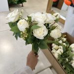 بوته رز 12 شاخه