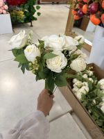 بوته رز 12 شاخه