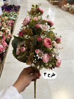 بوته نسترن یکطرفه - تصویر 4