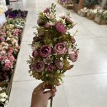 بوته نسترن یکطرفه