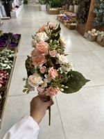 بوته رز مینیاتوری یکطرفه