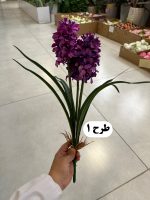 بوته سنبل - تصویر 3