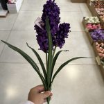 بوته سنبل