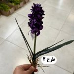 بوته سنبل - تصویر 2