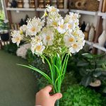 بوته شکوفه