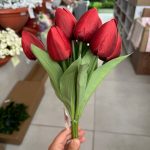 بوته لاله 9 گل