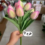 بوته لاله 9 گل - تصویر 2