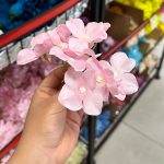 سرگل آرتانزیا