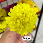 سرگل داوودی - تصویر 4
