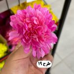 سرگل داوودی - تصویر 3