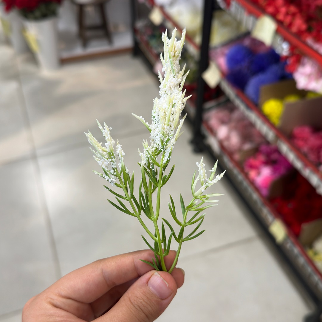 IMG_20250811_105320_(1080_x_1080_pixel) سرگل پفکی سفید - تصویر 1