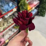سرگل آناناسی - تصویر 3