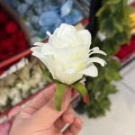 سرگل آناناسی - تصویر 2