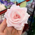 سرگل رز پارچه ای فری
