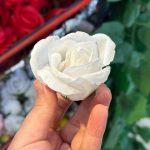 سرگل رز باکارا - تصویر 2