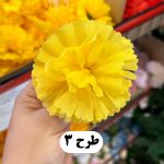 سرگل میخک کوچک - تصویر 4