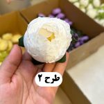 سرگل پیونی - تصویر 3