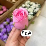 سرگل رز - تصویر 3