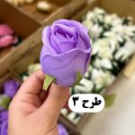 سرگل رز - تصویر 4