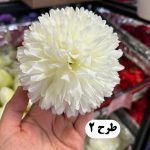 سرگل داوودی بزرگ - تصویر 2