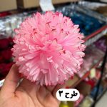 سرگل داوودی بزرگ - تصویر 4