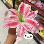 سرگل اوریانتال - تصویر 3