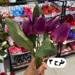 بوته لاله 9 گل - تصویر 4