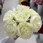 دسته پیونی کوچک 7 گل