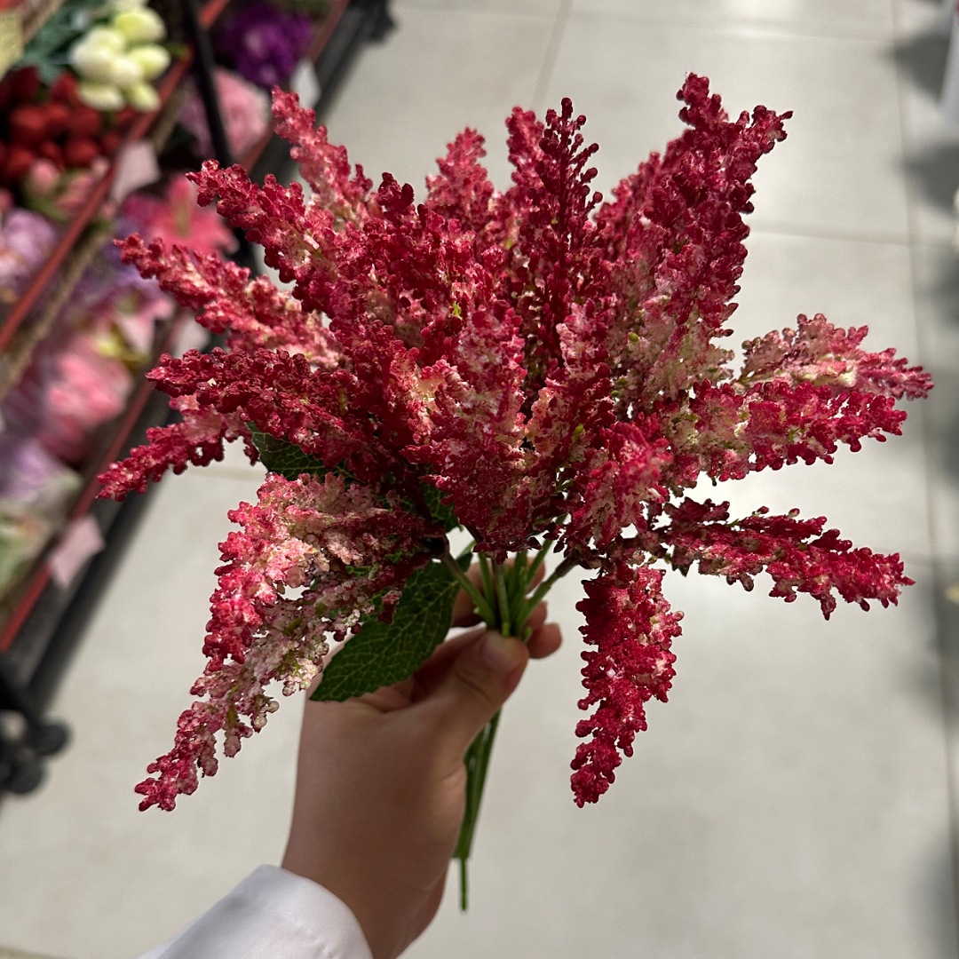 IMG_20250813_112234_(1080_x_1080_pixel) بوته موگه 7 بازو - تصویر 1
