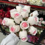 دسته غنچه رز هلندی