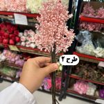 دسته غوره ای ریز 7 شاخه - تصویر 3