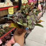 دسته ارتانزیا و اکالیپتوس سوخته