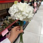دسته ارتانزیا