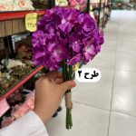دسته ارتانزیا - تصویر 3