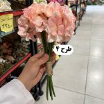 دسته ارتانزیا - تصویر 4