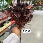 دسته ارتانزیا و قاصدک 6 شاخه سوخته - تصویر 4