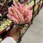 دسته پفکی 7 شاخه - تصویر 2