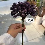دسته غوره ای درشت 5 شاخه - تصویر 2
