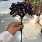 دسته غوره ای درشت 5 شاخه