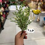 دسته غوره اروپایی 3 شاخه - تصویر 3