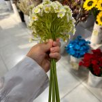 دسته بابونه - تصویر 2
