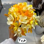 دسته شکوفه - تصویر 4