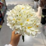 دسته شکوفه