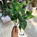 بوته برگ باکسی لمسی - تصویر 2