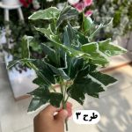 بوته برگ باکسی لمسی - تصویر 4