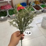 بوته تزئینی غوره ای - تصویر 2