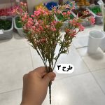 بوته میوه ریز رنگی - تصویر 3