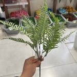 بوته سرخس