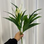 بوته باکسی اسپاتی گلدار