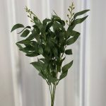 بوته برگ باکسی بامبو 5 شاخه